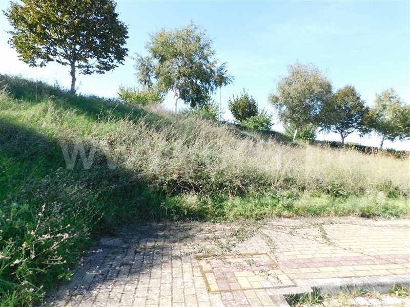 Terreno para Construção  Gouveia - 1360341 - 5