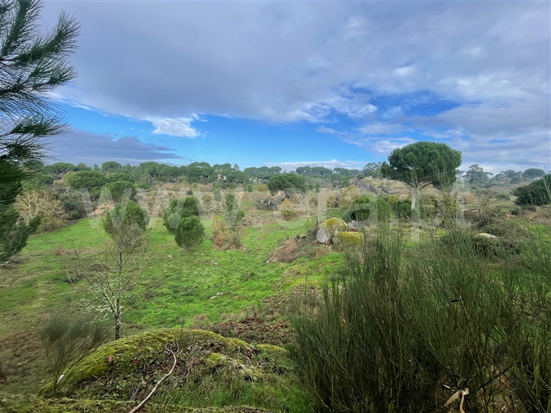 Terreno  Gouveia, Rio Torto e Lagarinhos - 1448302 - 1