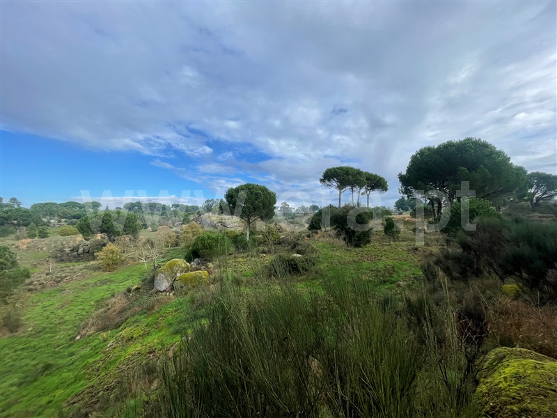 Terreno  Gouveia, Rio Torto e Lagarinhos - 1448302 - 2