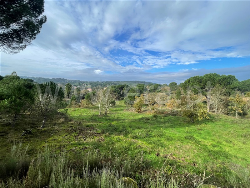 Terreno  Gouveia, Rio Torto e Lagarinhos - 1448302 - 5