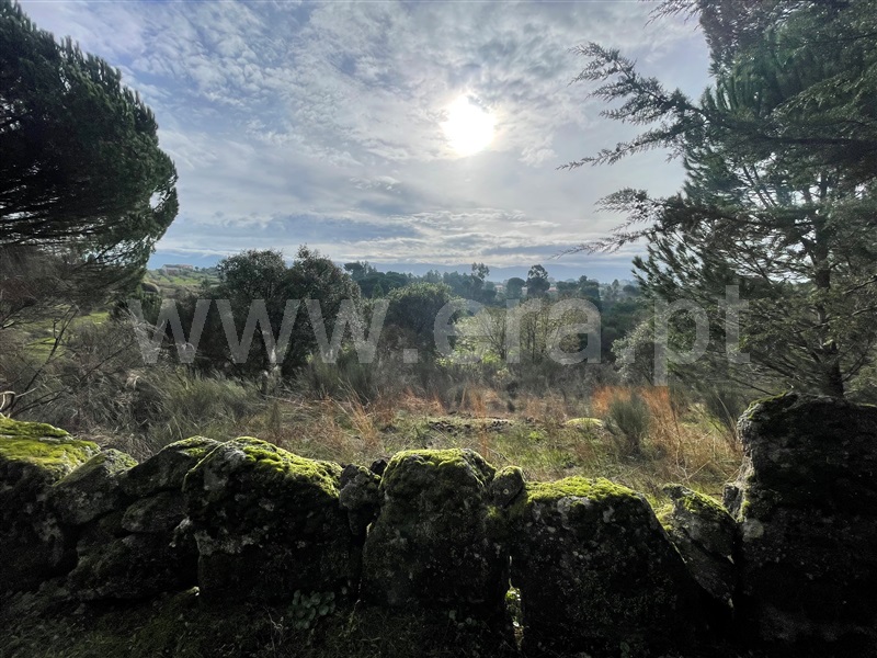 Terreno  Gouveia, Rio Torto e Lagarinhos - 1448302 - 9