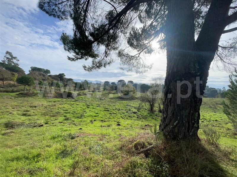 Terreno  Gouveia, Rio Torto e Lagarinhos - 1448302 - 10