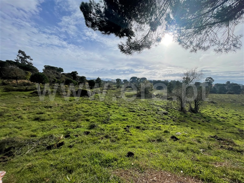 Terreno  Gouveia, Rio Torto e Lagarinhos - 1448302 - 12