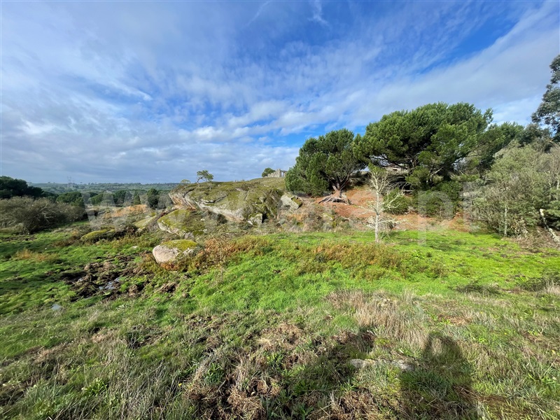 Terreno  Gouveia, Rio Torto e Lagarinhos - 1448302 - 13