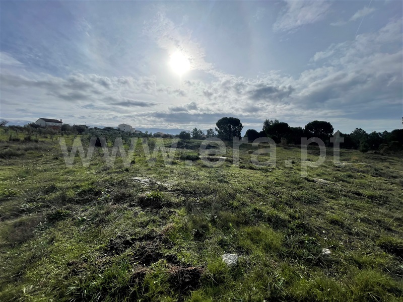 Terreno  Gouveia, Rio Torto e Lagarinhos - 1448302 - 15