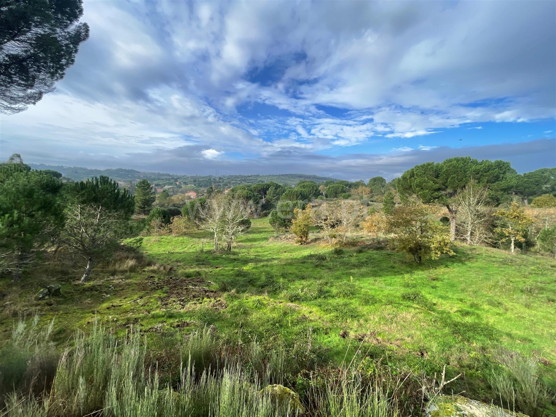 Terreno em Gouveia