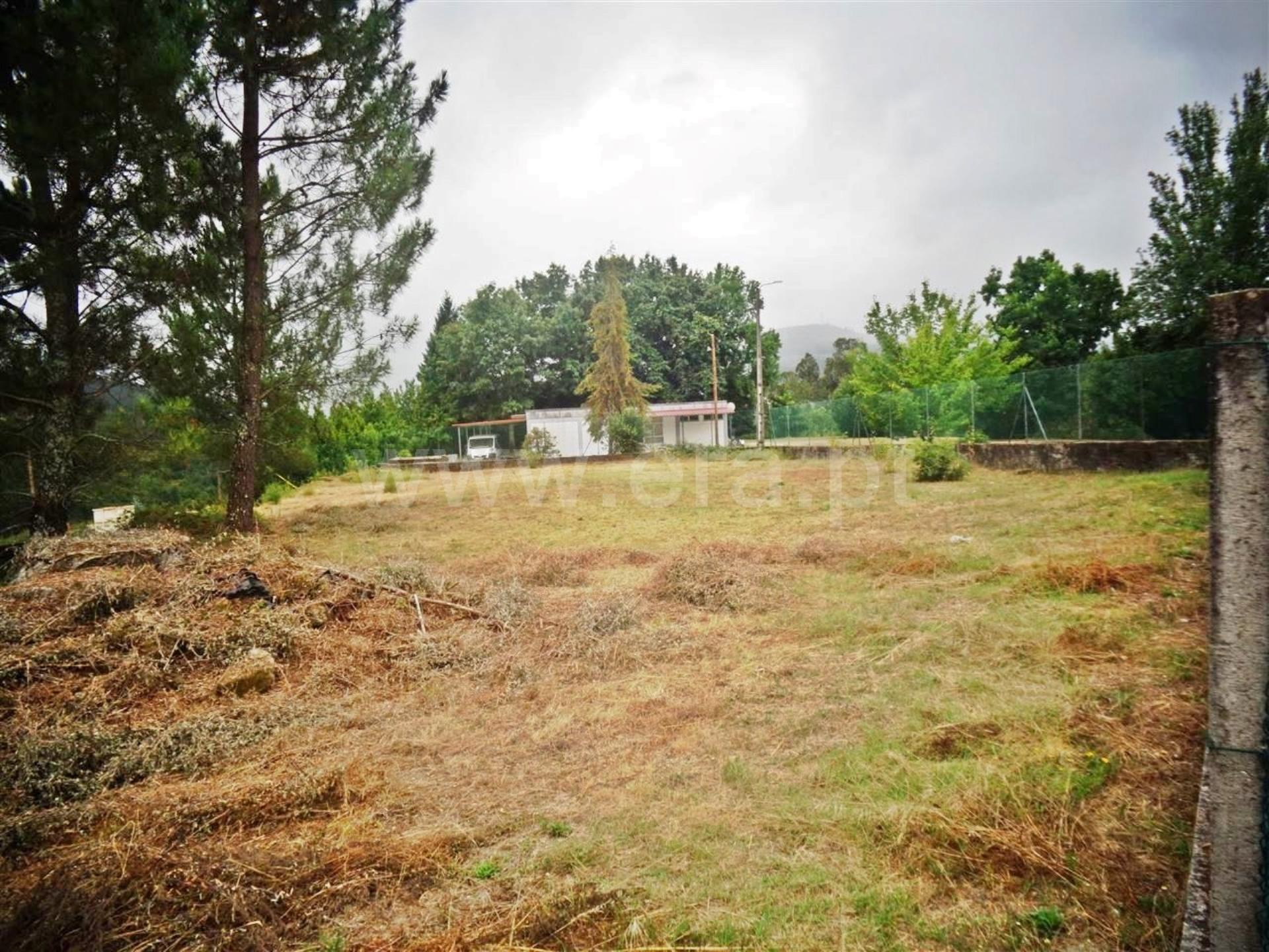 Terreno em Guimarães