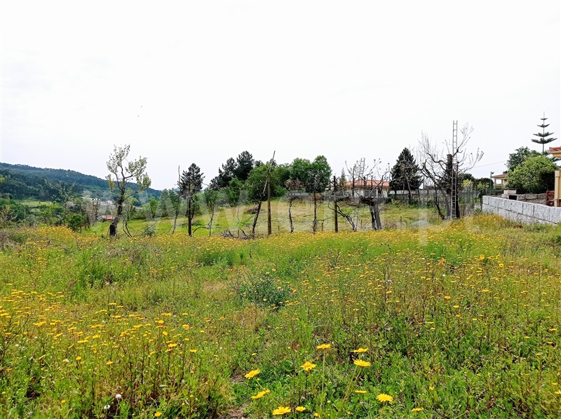 Terreno para Construção / Guimarães, Polvoreira