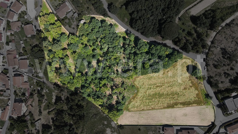 Terreno para Construção / Guimarães, Serzedelo