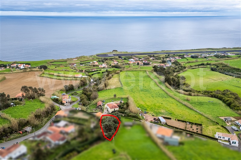 Terreno para Construção / Horta, Castelo Branco