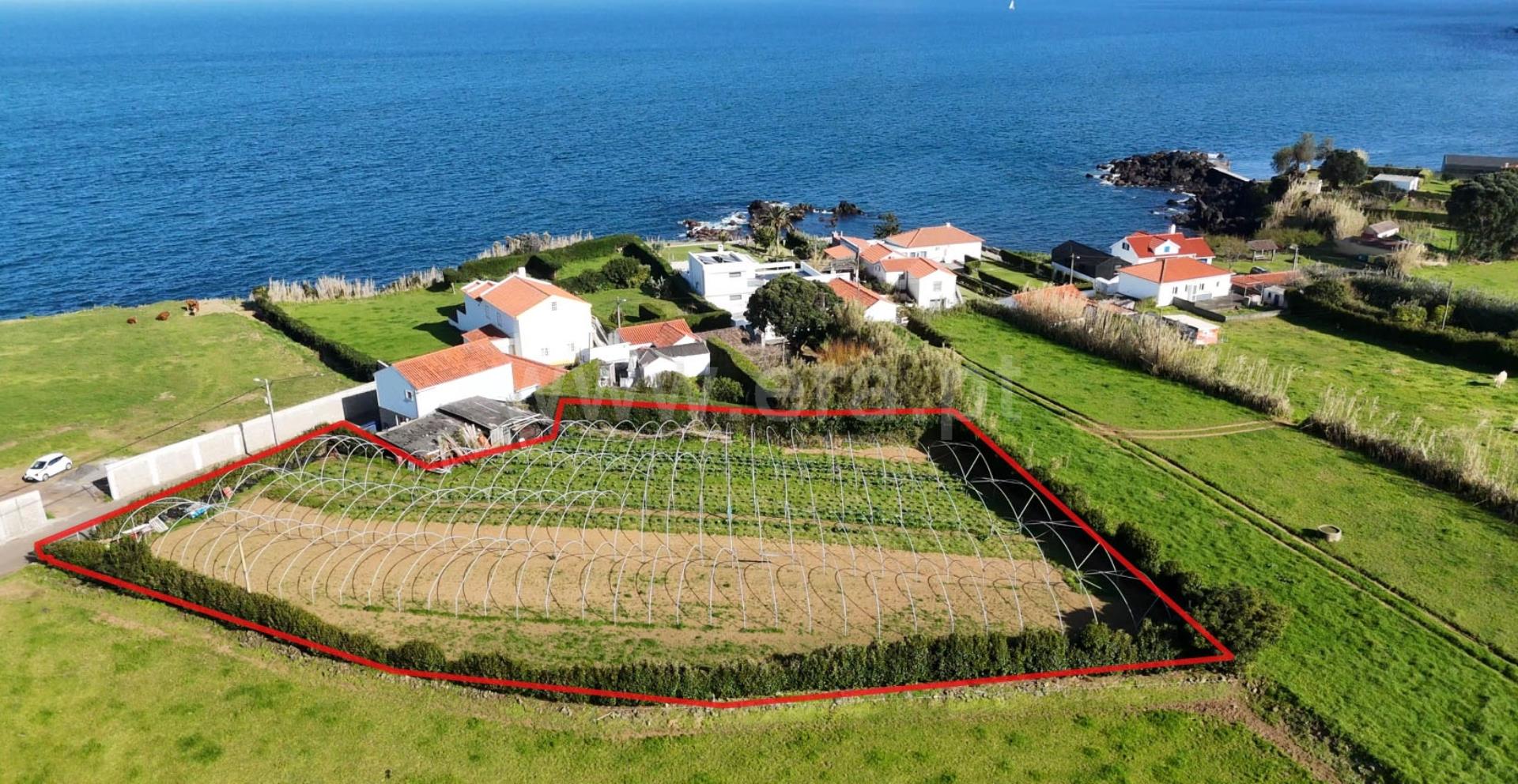 Land for sale in Horta, Portugal — €95,000