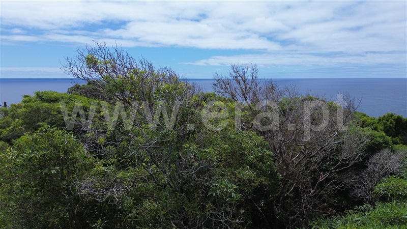 Terreno para Construção  Lajes do Pico, Calheta de Nesquim - 1492348 - 8
