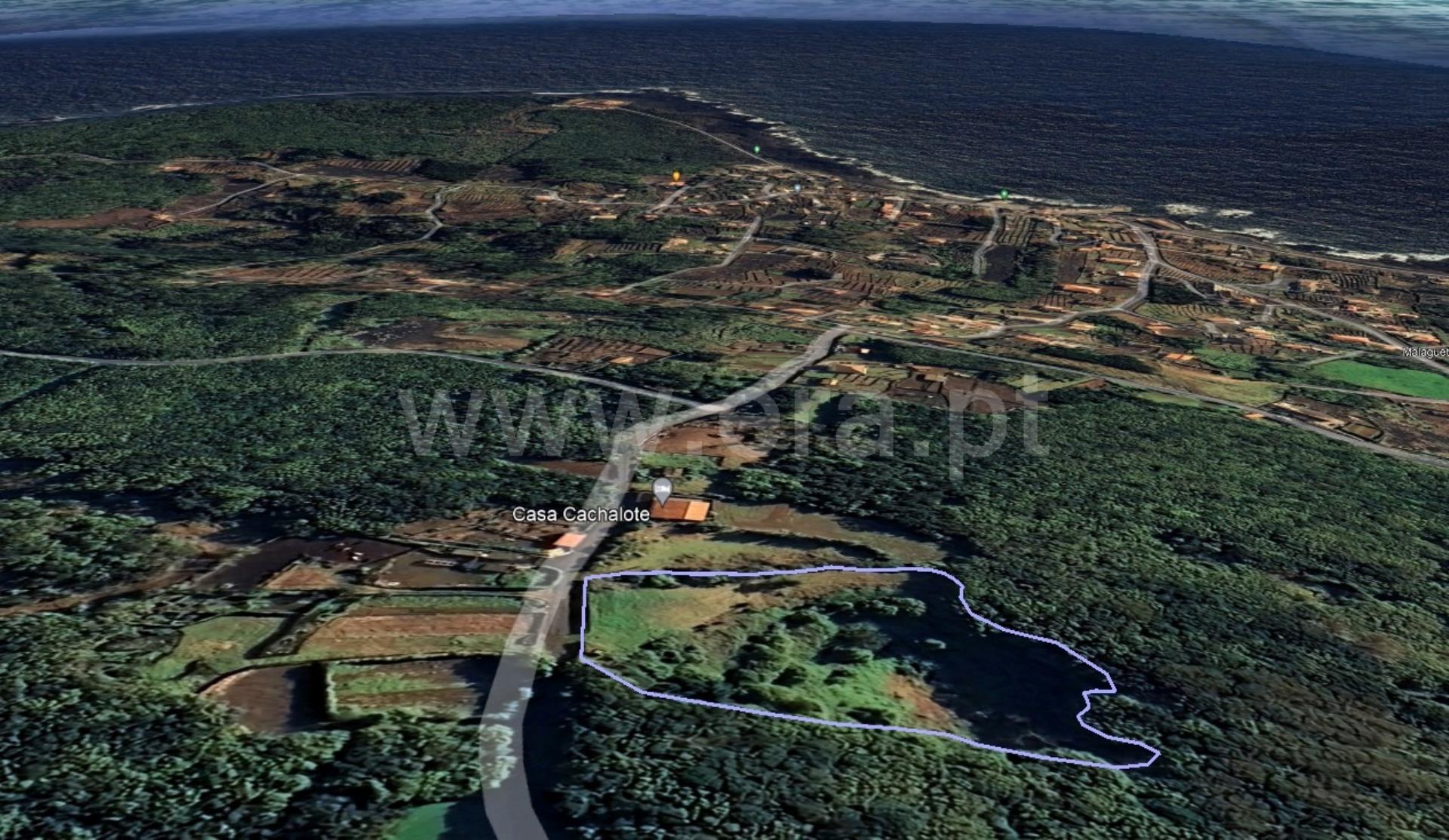 Terreno em Lajes do Pico
