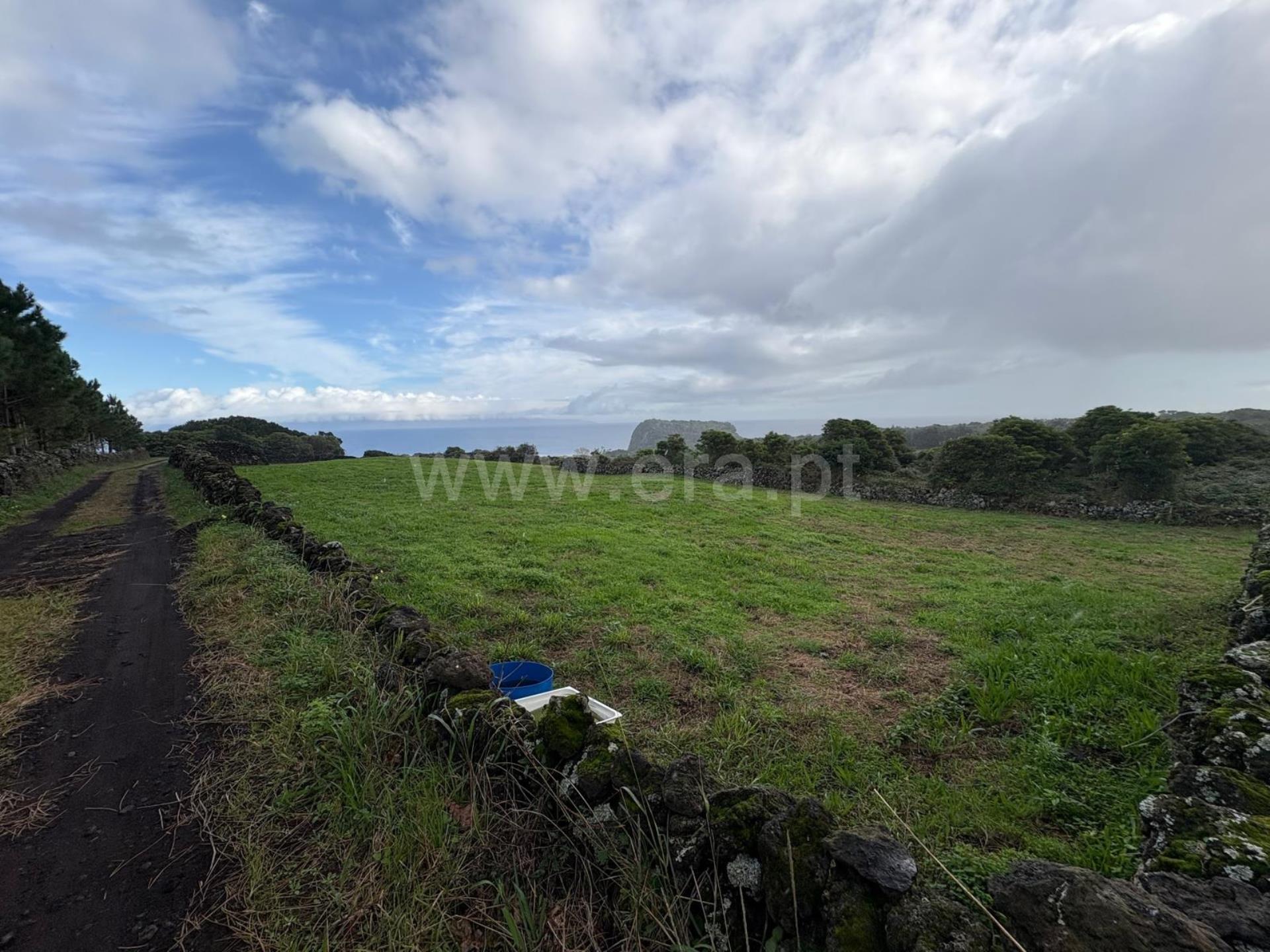 Land for sale in Lajes do Pico, Portugal — €80,000