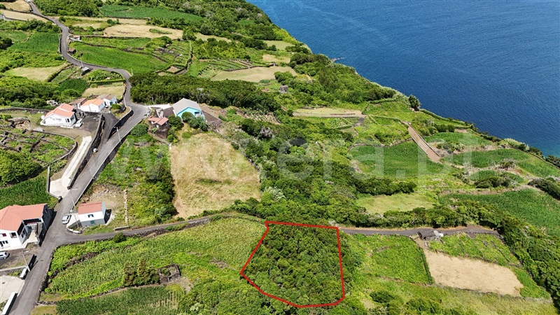 Terreno para Construção  Lajes do Pico, Ribeirinha - 1496053 - 6