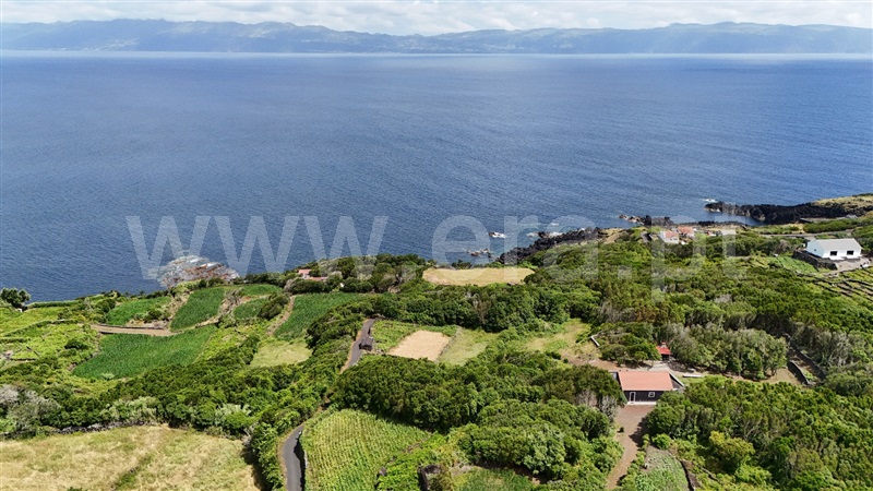 Terreno para Construção  Lajes do Pico, Ribeirinha - 1496053 - 7