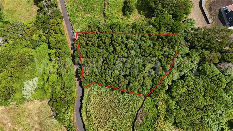 Terreno para Construção  Lajes do Pico, Ribeirinha - 1496053 - 9