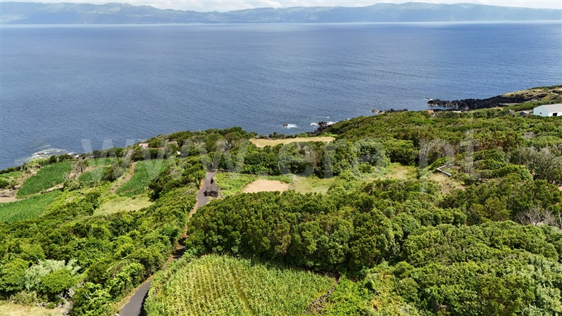 Terreno para Construção  Lajes do Pico, Ribeirinha - 1496053 - 11