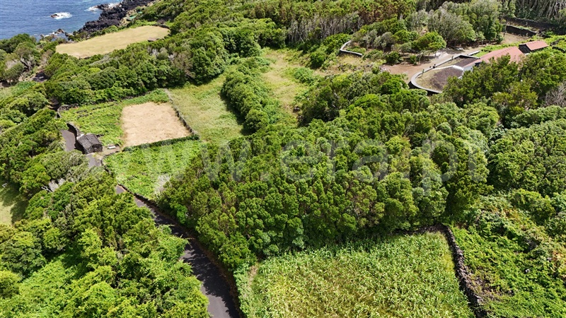 Terreno para Construção  Lajes do Pico, Ribeirinha - 1496053 - 16
