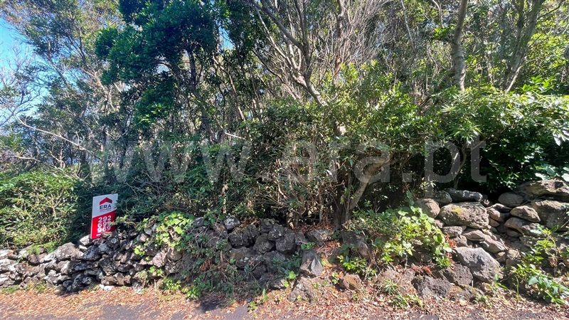 Terreno para Construção  Lajes do Pico, Ribeirinha - 1496053 - 19
