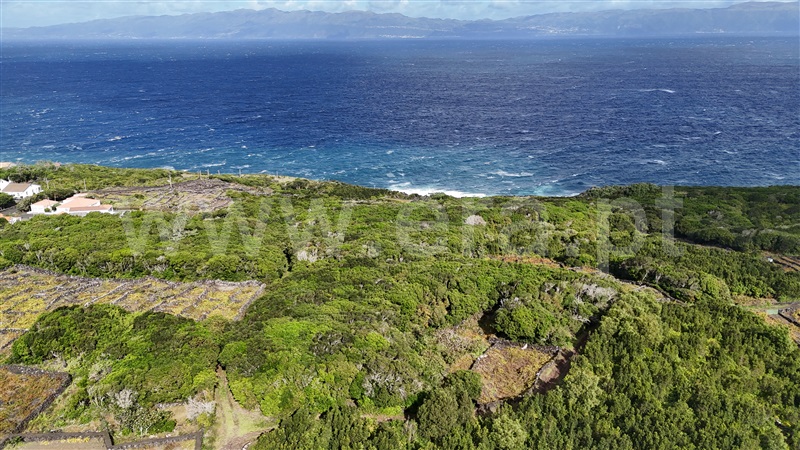 Terreno para Construção / Lajes do Pico, Ribeirinha