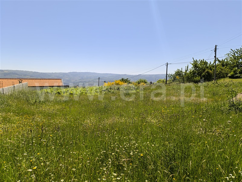 Terreno para Construção / Lamego, Cepões, Meijinhos e Melcões