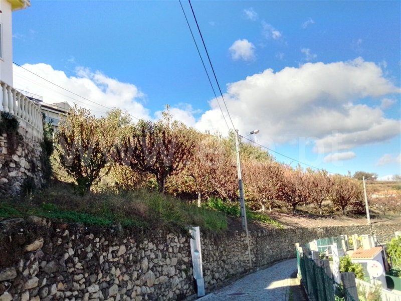 Terreno para Construção  Lamego, Ferreiros de Avões - 1223455 - 2
