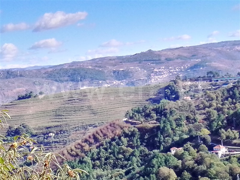 Terreno para Construção  Lamego, Ferreiros de Avões - 1223455 - 4