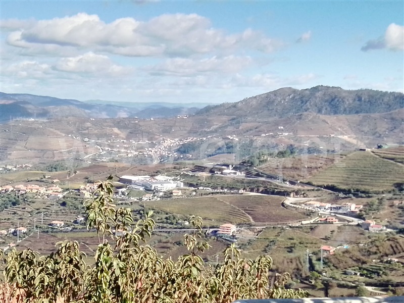 Terreno para Construção  Lamego, Ferreiros de Avões - 1223455 - 5