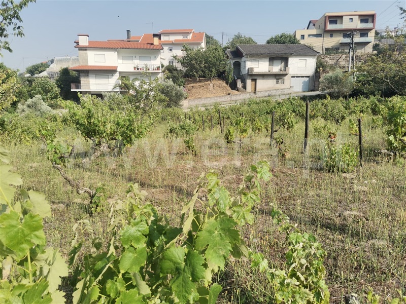 Terreno  Lamego, Lamego (Almacave e Sé) - 1256044 - 3