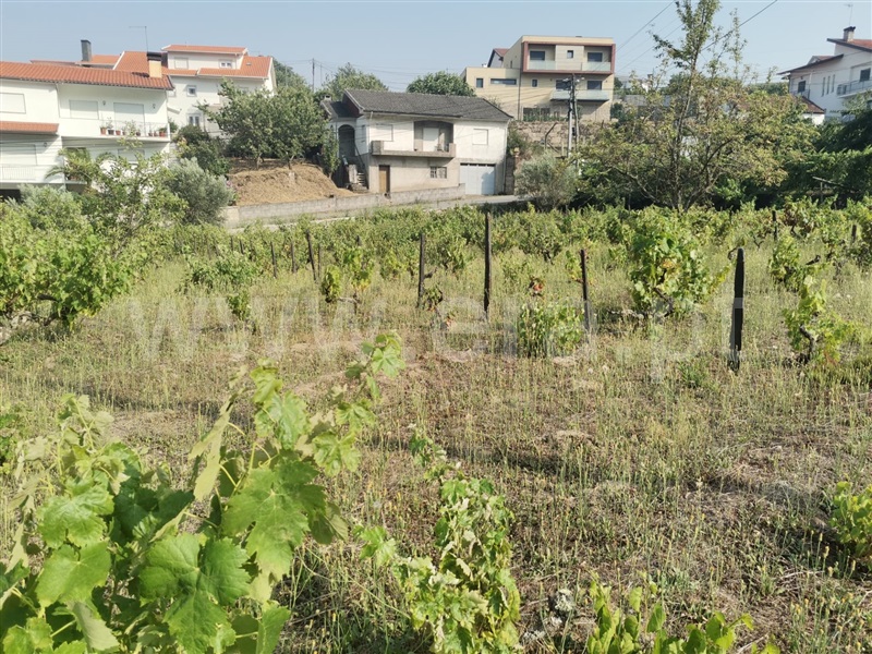Terreno  Lamego, Lamego (Almacave e Sé) - 1256044 - 5