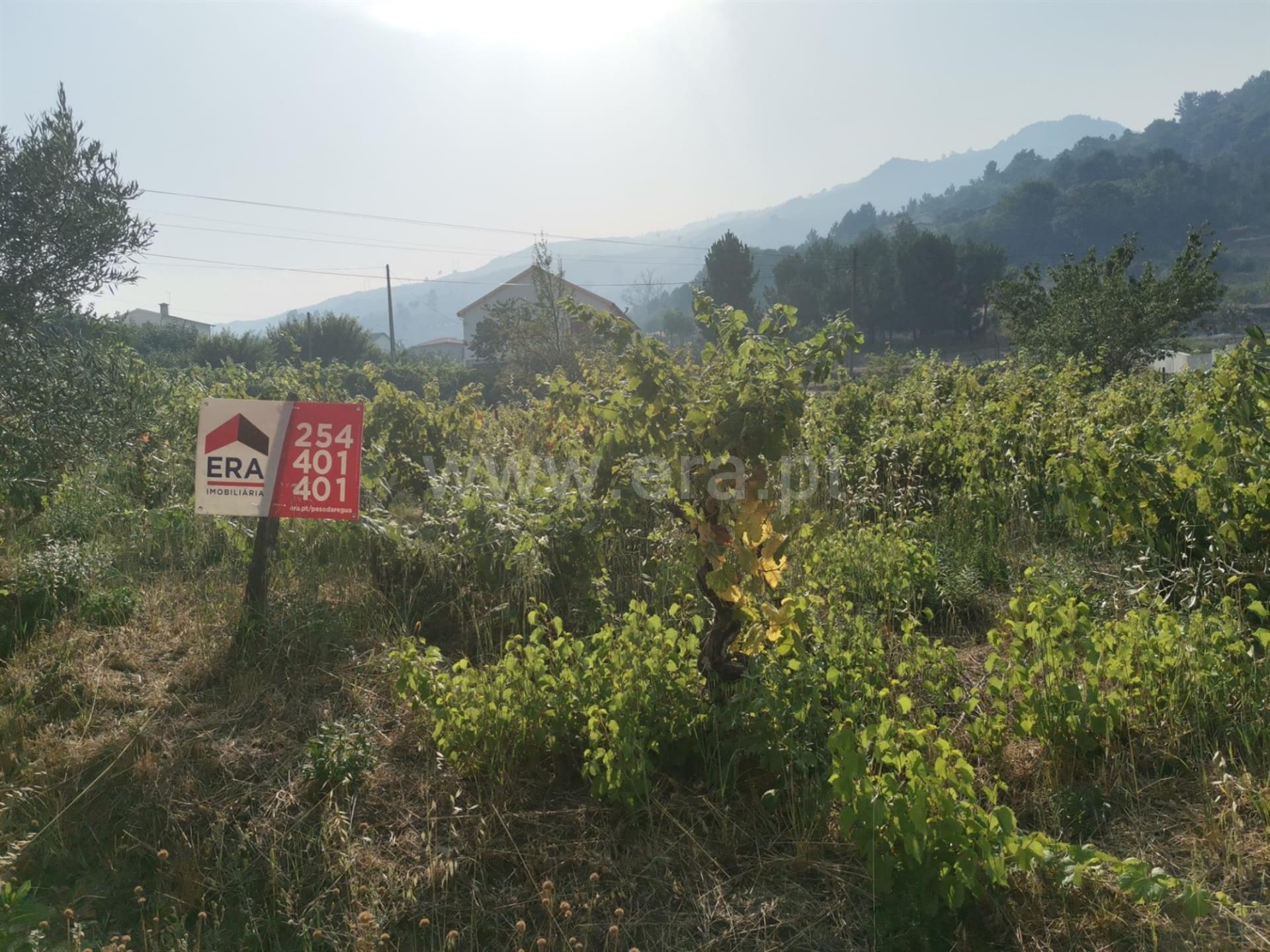 Land for sale in Lamego, Portugal — €180,000
