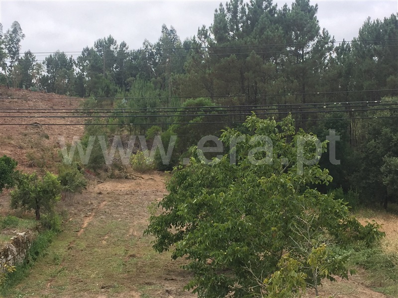 Terreno para Construção  Leiria, Zona A - Arrabal - 1203798 - 3