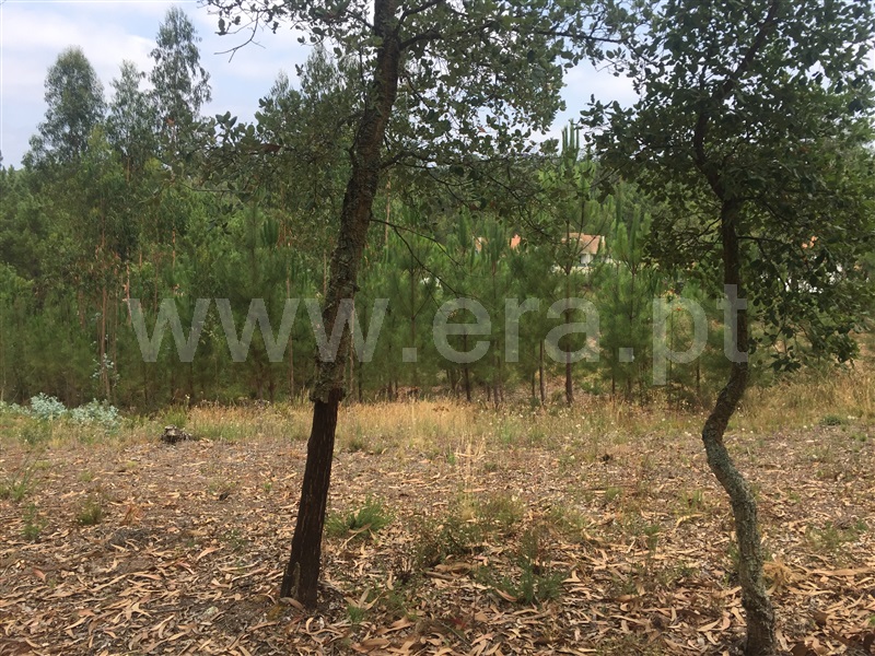 Terreno para Construção  Leiria, Zona A - Arrabal - 1203798 - 4