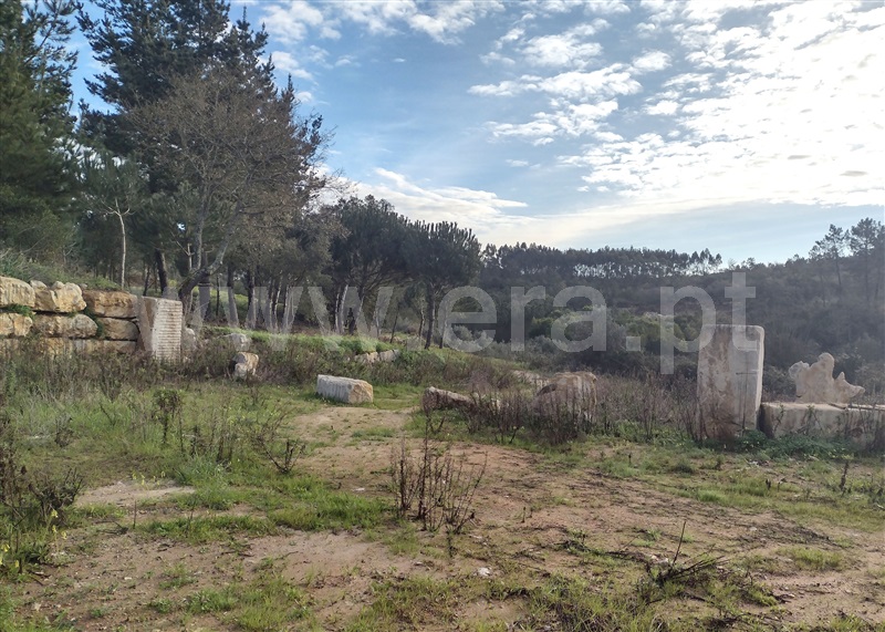 Terreno para Construção  Leiria, Arrabal - 1301832 - 11