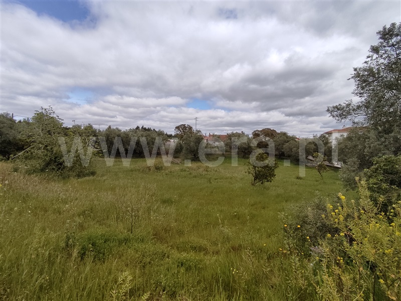 Terreno para Construção  Leiria, Milagres - 1233964 - 4