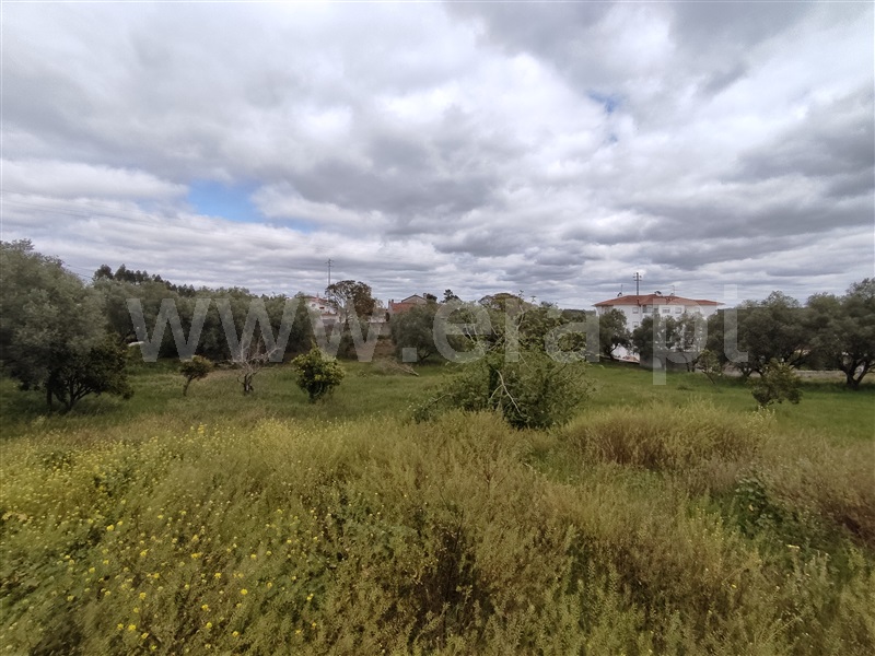 Terreno para Construção  Leiria, Milagres - 1233964 - 5