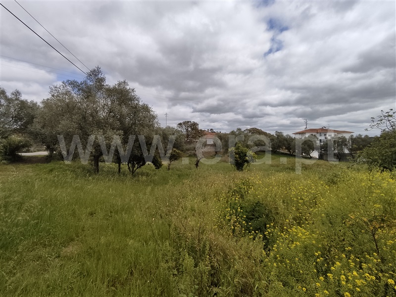 Terreno para Construção  Leiria, Milagres - 1233964 - 7