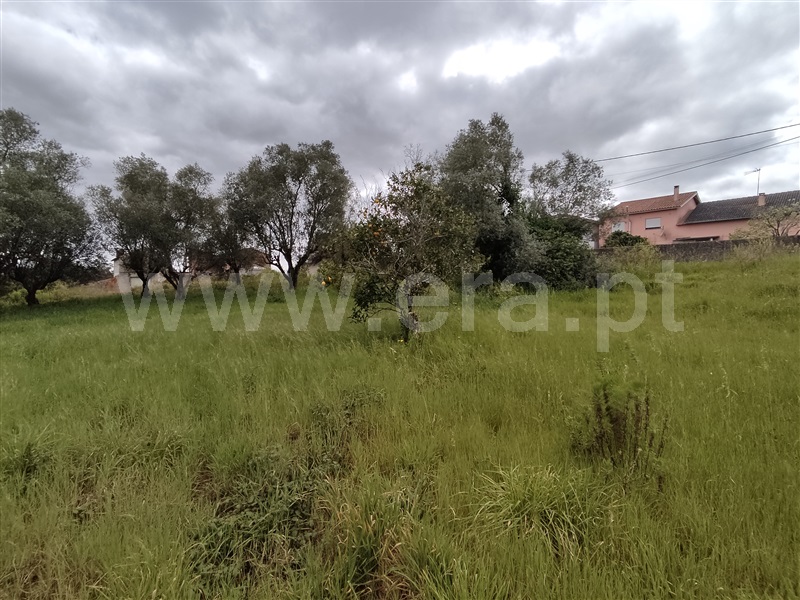 Terreno para Construção  Leiria, Milagres - 1233964 - 9