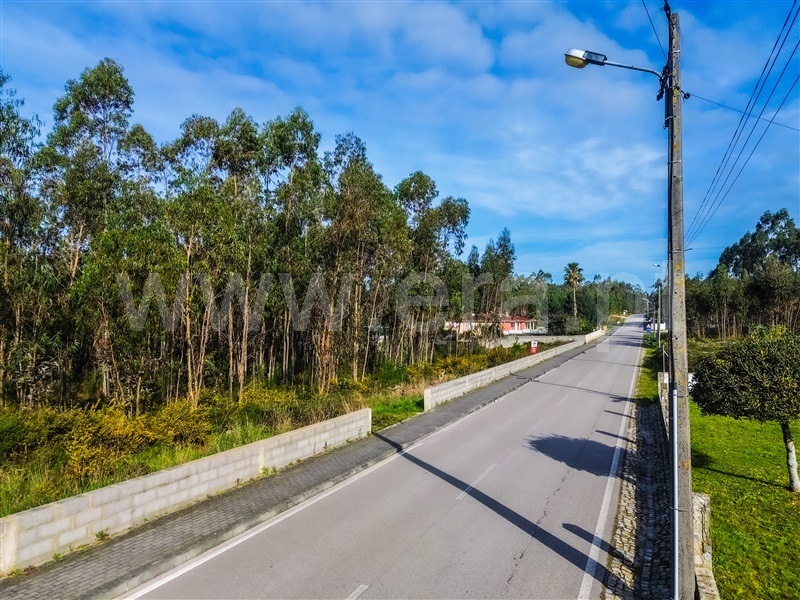 Terreno para Construção / Leiria, Milagres