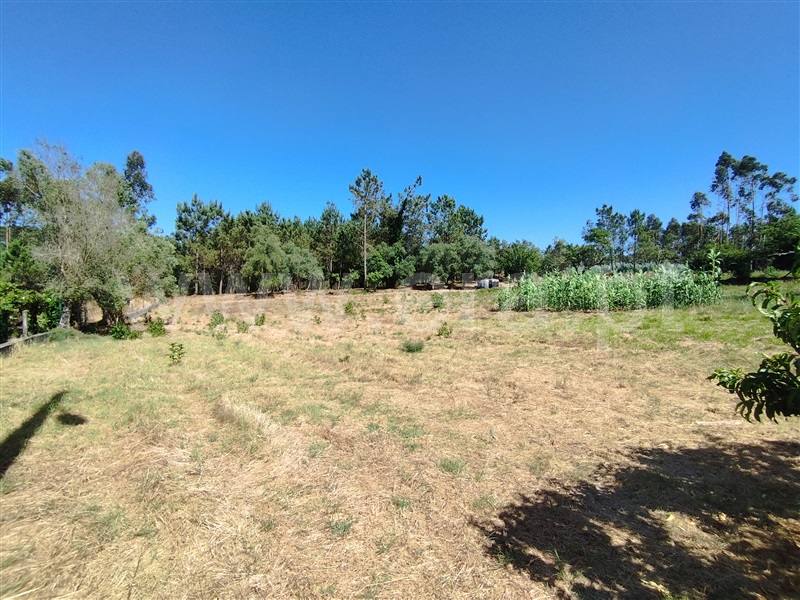 Terreno para Construção  Leiria, Monte Redondo e Carreira - 1492831 - 3