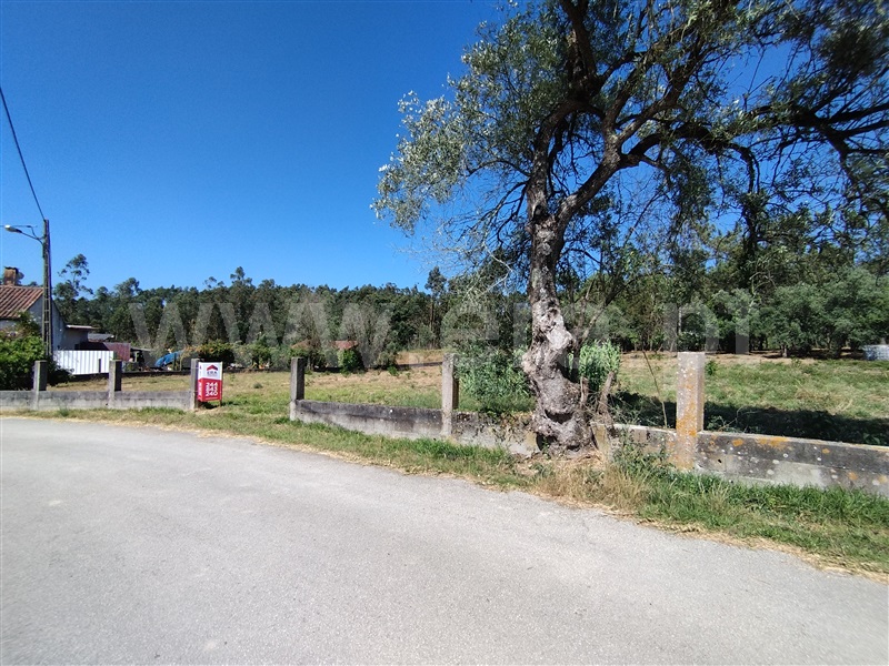 Terreno para Construção  Leiria, Monte Redondo e Carreira - 1492831 - 4