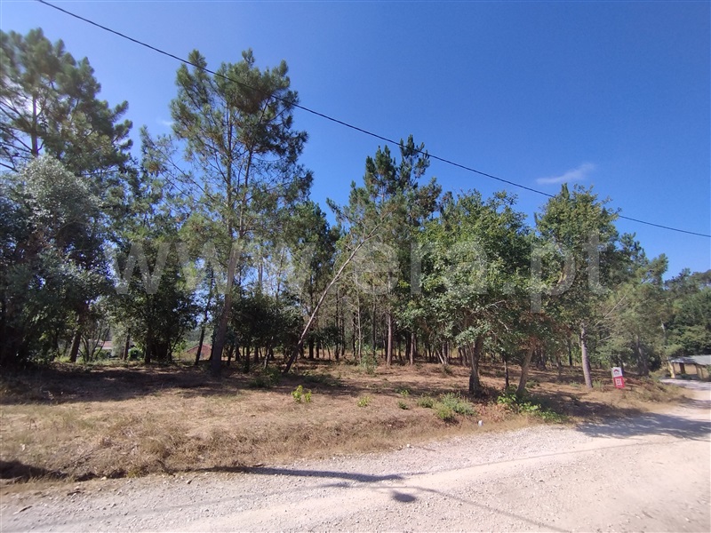 Terreno para Construção  Leiria, Monte Redondo e Carreira - 1492831 - 6