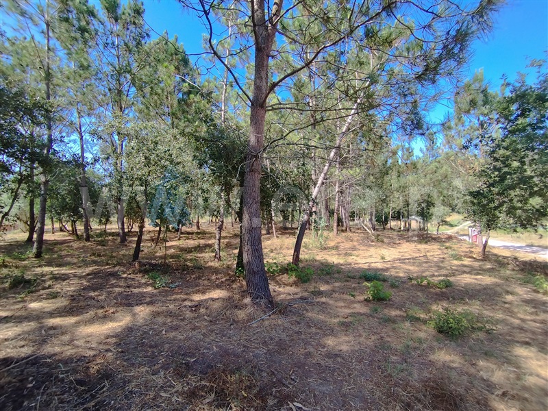 Terreno para Construção  Leiria, Monte Redondo e Carreira - 1492831 - 7