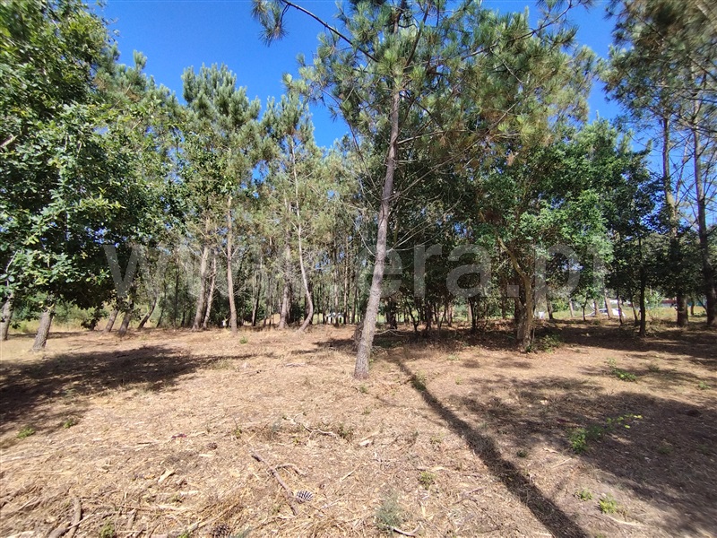 Terreno para Construção  Leiria, Monte Redondo e Carreira - 1492831 - 10