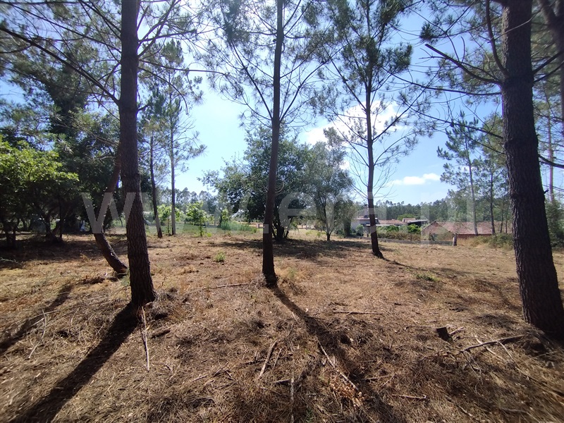 Terreno para Construção  Leiria, Monte Redondo e Carreira - 1492831 - 11