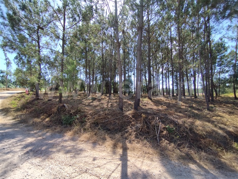 Terreno para Construção  Leiria, Monte Redondo e Carreira - 1492831 - 12