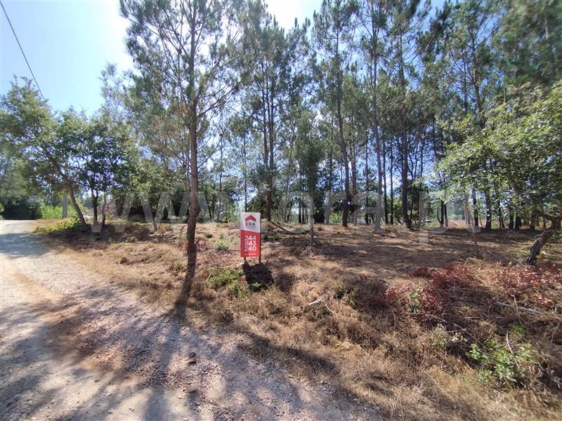 Terreno para Construção  Leiria, Monte Redondo e Carreira - 1492831 - 13