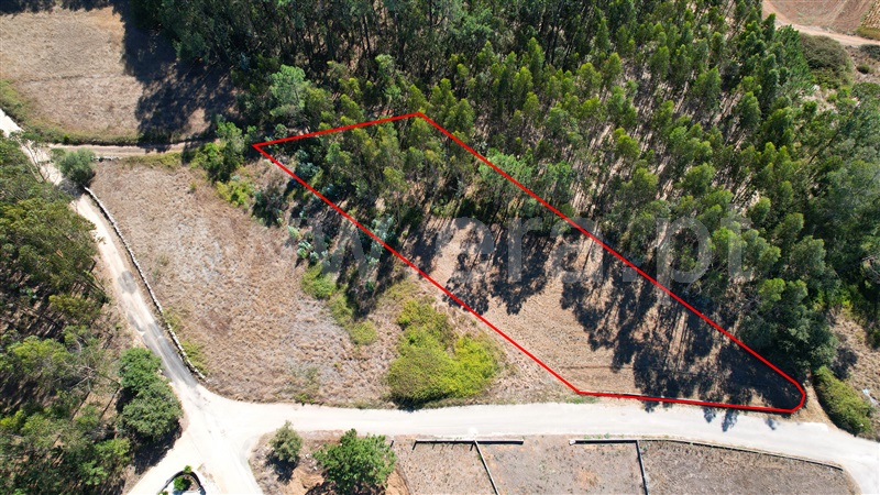 Terreno para Construção / Leiria, Santa Catarina da Serra e Chainça
