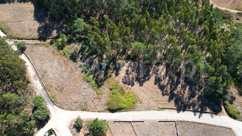 Terreno para Construção  com Rústico Leiria, Santa Catarina da Serra e Chainça - 1352289 - 2